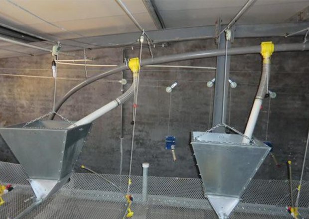 Broiler pan feeding system