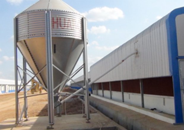 Feed weighing & conveying system