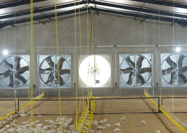 54" & 50" ventilation fan