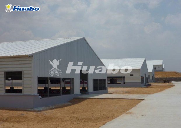 Light steel poultry shed