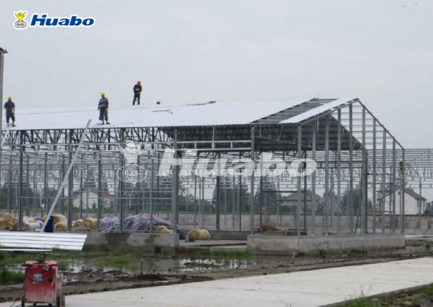 Light steel poultry shed