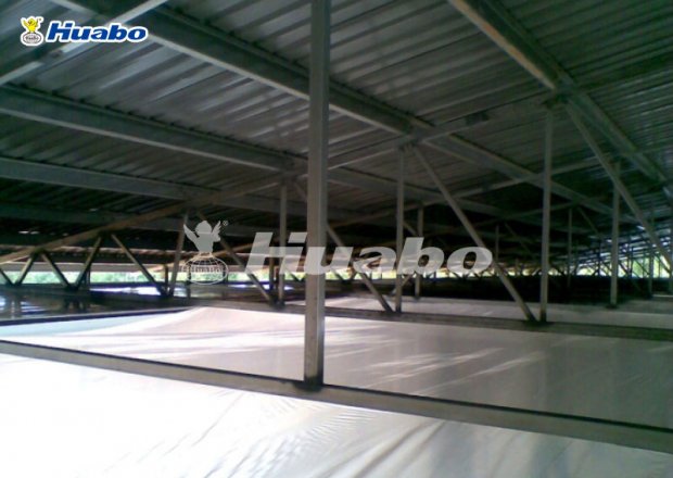Light steel poultry shed