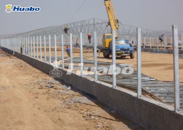 Light steel poultry shed