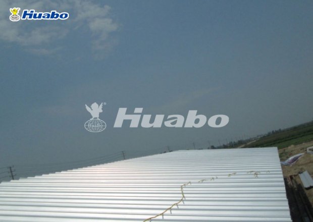 Light steel poultry shed