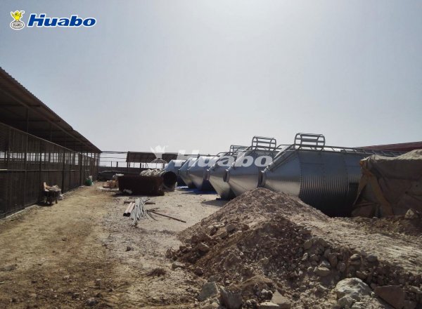 Huabo's turnkey poultry broiler farm project in Qatar.