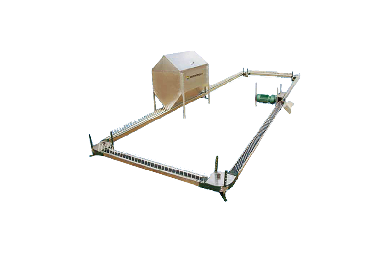 Breeder chain feeding system